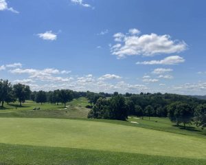 IMG 4420